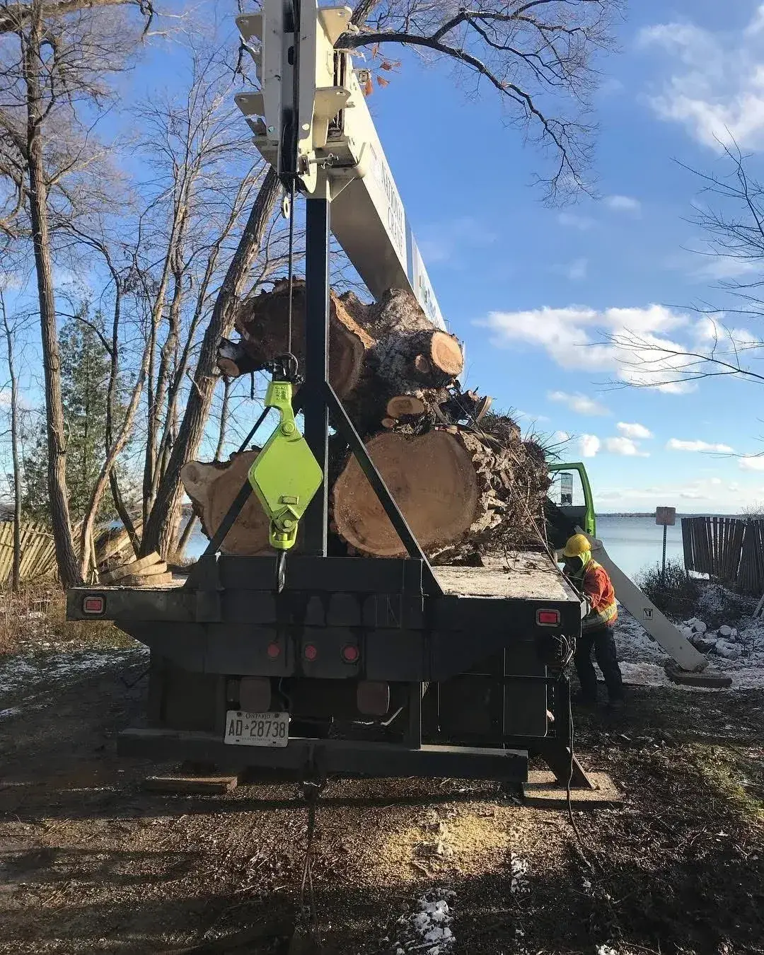Green Leaf logs loaded on a truck beside the water after a completed job